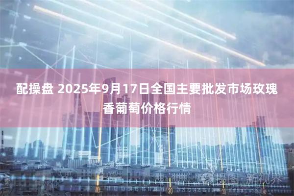 配操盘 2025年9月17日全国主要批发市场玫瑰香葡萄价格行情