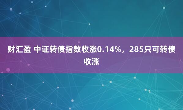 财汇盈 中证转债指数收涨0.14%，285只可转债收涨
