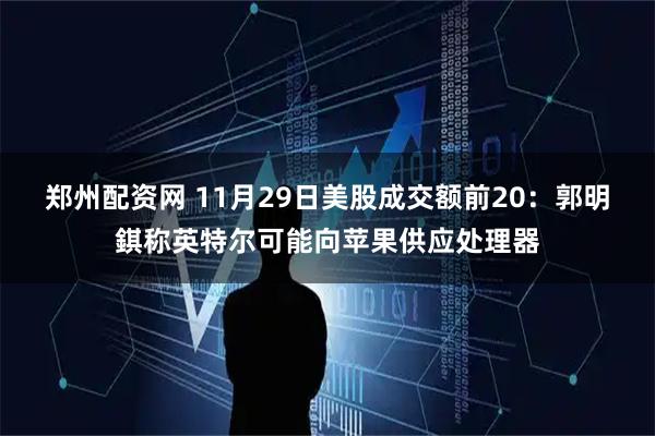 郑州配资网 11月29日美股成交额前20：郭明錤称英特尔可能向苹果供应处理器