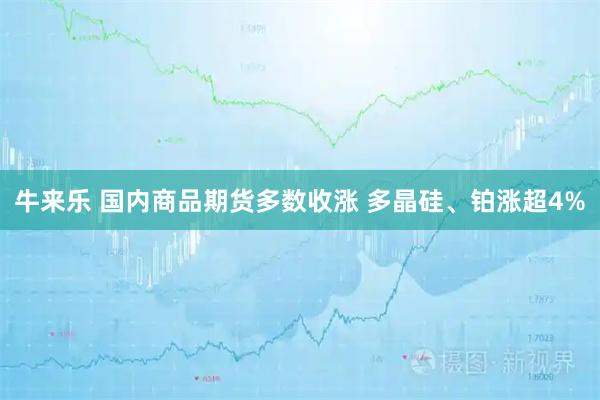 牛来乐 国内商品期货多数收涨 多晶硅、铂涨超4%